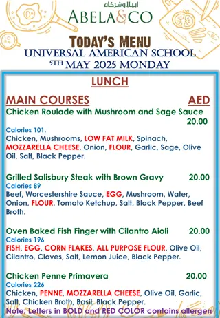 Delicious Lunch Menu at Universal American School