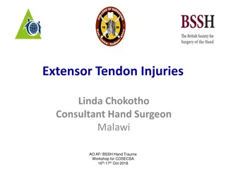 Extensor Tendon Injuries & Management Workshop Insights