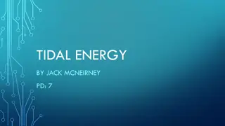 Exploring Tidal Energy: History, Advantages, and Mechanisms