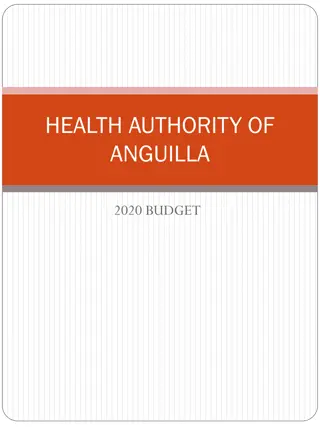 Health Authority of Anguilla 2020 Budget Analysis
