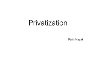 Understanding Privatisation: Objectives, Perspectives, and Empirical Evidence