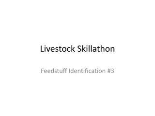 Livestock Skillathon Feedstuff Identification