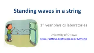 Exploring Standing Waves in a String: University of Ottawa Experiment