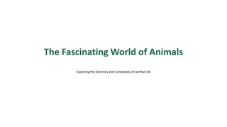Exploring the Diversity and Complexity of Animal Life