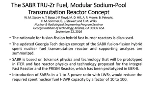 Fusion-Fission Hybrid SABR Fuel Transmutation Reactor Concept Summary