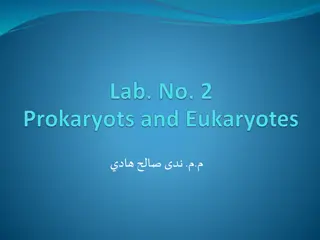 Understanding Prokaryotic and Eukaryotic Cells