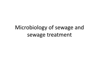 Understanding Microbiology of Sewage Treatment Process