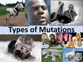 Inherited Genetic Mutations: Understanding Different Types and Impacts