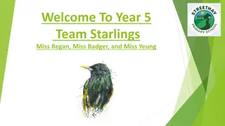 Year 5 Team Starlings: Class Information and Updates