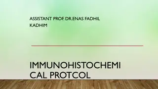 Immunohistochemistry Protocol and Fixation Methods