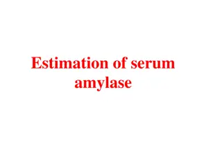 Understanding Serum Amylase and Its Clinical Significance