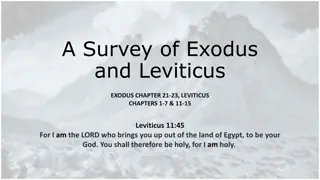 Insights from Exodus and Leviticus: Offering Types, Holiness, and Cleanliness
