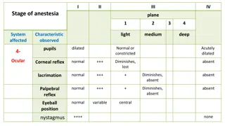 Anesthetic Management of Animals: Understanding Anesthesia Stages and Equipment