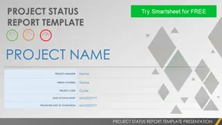 Project Status Report Template - Effective Overview and Analysis
