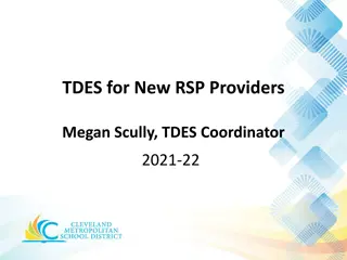 Understanding TDES for New RSP Providers in 2021-22