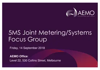 5MS Joint Metering Systems Focus Group Agenda and Attendees