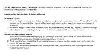 Exploring Balanced and Unbalanced Forces in Dog Treat Slinger Design Challenge