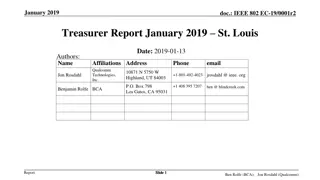 IEEE 802 Wireless Treasurer Report January 2019 - Financial Overview