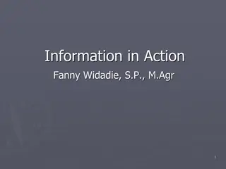 Information in Action: Organizational Success Factors Revealed