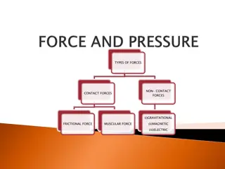 Different Types of Forces and Agents Exerting Force Examples