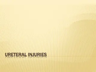 Understanding Ureteral Injuries and Associated Complications