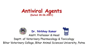 Understanding the Classification of Antiviral Drugs