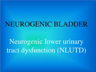 Understanding Normal Bladder Function and Neurogenic Bladder Dysfunction