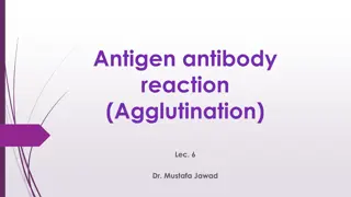 Understanding Antigen-Antibody Reactions: Agglutination Tests Explained