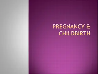 Understanding Pregnancy and Childbirth Process