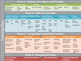 Lean Six Sigma Principles and Values Overview