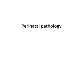 Understanding Perinatal Pathology and Its Impact on Neonatal Health