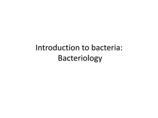 Exploring the Diverse World of Bacteria: Shapes, Arrangements, and Distribution