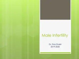 Understanding Male Infertility: Causes, Diagnosis & Management