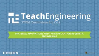 Bacterial Adaptations and Genetic Engineering Applications