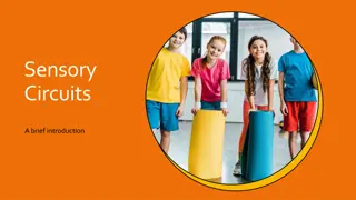Understanding Sensory Circuits for Effective Learning