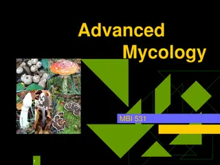 Advanced Mycology: Introduction to Mushroom Fungi Classification