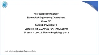 Understanding Excitation-Contraction Coupling in Muscle Physiology
