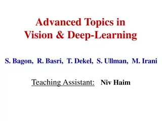 Deep Learning and Vision Advanced Topics Overview