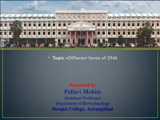 Exploring Different Forms of DNA Structures