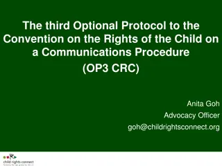 Understanding the Third Optional Protocol to the Convention on the Rights of the Child