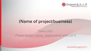Innovative Business Proposal and Team Insights
