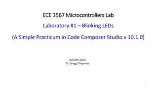 Learn Microcontroller Programming: Lab 1 - Blinking LEDs Tutorial