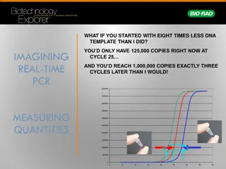 Understanding Real-Time PCR and DNA Measurement Techniques