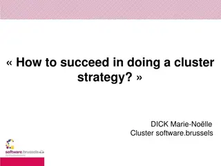 Succeed in Cluster Strategy with Key Factors Revealed