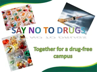 Supporting a Drug-Free Campus: Say No to Drugs Together