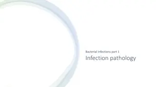 Understanding Bacterial Infections and Mechanisms of Damage