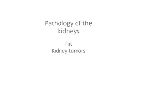 Understanding Kidney Pathology and Infections