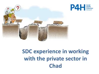 Experience of Private Sector Engagement in Chad's Healthcare System