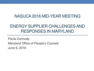 Challenges and Responses to Energy Supplier Regulation in Maryland