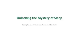 Unraveling the Intriguing Science of Sleep
